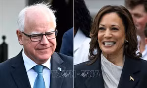 Vì sao ‘phó tướng’ Tim Walz có thể trở thành vũ khí tiềm năng cho bà Harris?