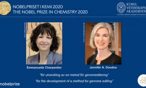 Giải Nobel Hóa học năm 2020 thuộc về hai nhà khoa học Emmanuelle Charpentier và Jenifer A.Doudna