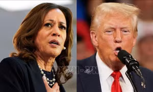 'Cặp đấu' Trump-Harris làm gì trong Ngày Bầu cử?