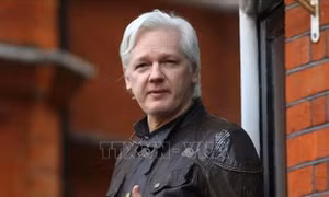 Nỗ lực của Australia giúp ông chủ WikiLeaks tự do như thế nào?