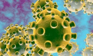 Điều kiện thời tiết khiến virus SARS-CoV-2 suy yếu