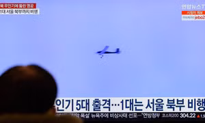 Hàn Quốc: Bộ trưởng Quốc phòng xin lỗi, không quân nhầm chim thành 'UAV Triều Tiên'