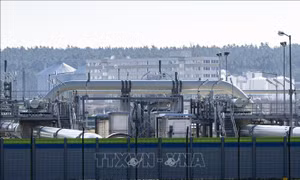 Giá khí đốt tại châu Âu tăng cao nhất mọi thời đại