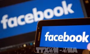 Facebook, Twitter không tuân thủ đầy đủ quy định của EU về bảo vệ người tiêu dùng 