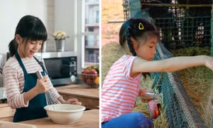 Chương trình cải cách Trung Quốc dạy học sinh nấu ăn, trồng rau, nuôi gà