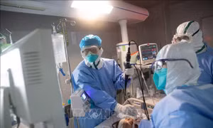 Tìm lời giải cho hiện tượng đông máu kỳ lạ ở bệnh nhân COVID-19