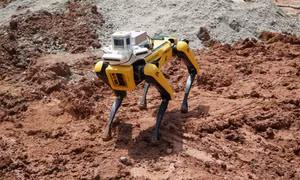 Thiếu hụt nhân công nước ngoài, Singapore tìm đến robot thế chỗ lao động