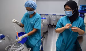 Bị cấm trữ đông, phụ nữ Singapore tìm ra nước ngoài bảo quản trứng