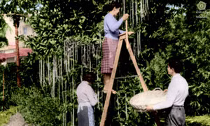 Những cú lừa ngày Cá tháng Tư chấn động trong lịch sử 