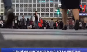 Căn bệnh hikikomori đáng sợ tại Nhật Bản