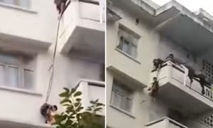 Bà buộc dây, thả cháu trai từ tầng 5 xuống dưới cứu mèo