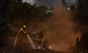 Nguy cơ nhiễm độc hóa chất sau thảm họa cháy rừng tại Maui