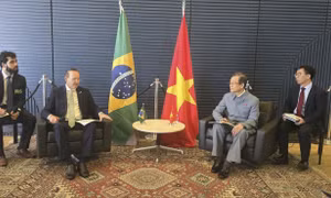 Đảng Cộng sản Việt Nam tăng cường hợp tác với các lực lượng chính trị Brasil