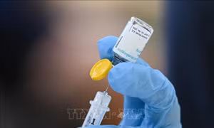 Anh phát hiện biến chủng thứ 2 của virus đậu mùa khỉ
