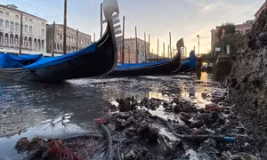Kênh đào Venice ‘cạn trơ đáy’ sau trận lụt lịch sử
