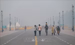 Ấn Độ: Chất lượng không khí tại thủ đô New Delhi ở ngưỡng 'nguy hiểm'