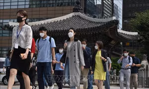 Những thói quen xấu khi đeo khẩu trang làm gia tăng nguy cơ nhiễm virus SARS-CoV-2