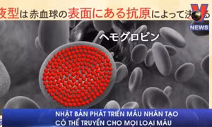 Máu nhân tạo có thể truyền cho mọi nhóm máu