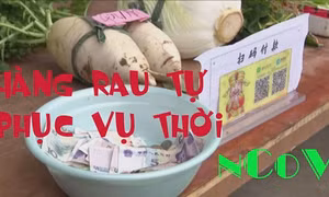 Hàng rau tự phục vụ ra đời thời nCoV
