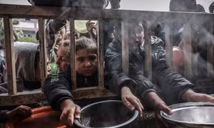 Nạn đói ngày càng nghiêm trọng, người dân Gaza phải ăn thịt ngựa, lá cây để sinh tồn