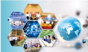 Phát huy vai trò của khoa học- công nghệ, tạo động lực phát triển bền vững