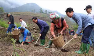 Ưu tiên nguồn lực phát triển vùng đồng bào dân tộc thiểu số ở Yên Bái 