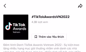 Những xu hướng hàng đầu trên TikTok