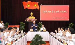 Nỗ lực phấn đấu hoàn thành cao nhất các chỉ tiêu năm 2023