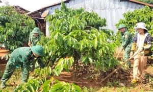 Góp phần nâng cao đời sống bà con ở khu vực biên giới
