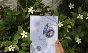 Giới thiệu tập truyện ngắn 9 màu chia ly của Bernhard Schlink   