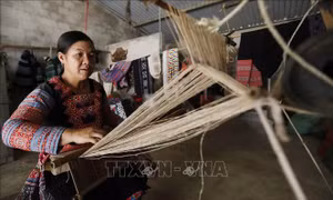 Ổn định và phát triển kinh tế - xã hội vùng đồng bào dân tộc thiểu số