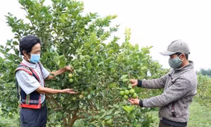 Khởi sắc vùng đồng bào dân tộc thiểu số 