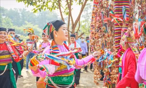 Nhân rộng các điển hình tiên tiến trong vùng đồng bào dân tộc thiểu số  