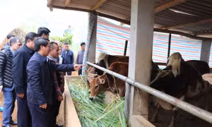 Bộ trưởng Hầu A Lềnh: Các Chương trình mục tiêu quốc gia góp thay đổi diện mạo nông thôn miền núi