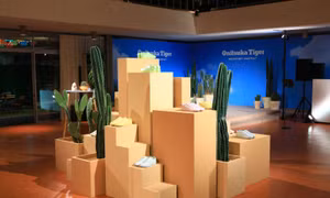 Nghệ sĩ thích thú với MEXICO 66 ™ CACTFUL ™ sử dụng nguyên liệu từ xương rồng