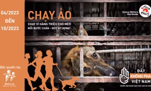 Chạy trực tuyến kêu gọi chấm dứt buôn bán thịt chó, mèo 