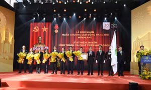 Novaland đón nhận Huân chương Lao động Hạng Nhì