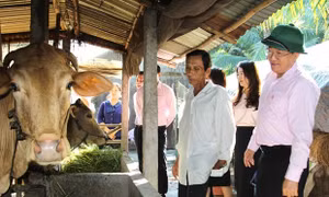 Tạo điều kiện cho người dân vay vốn tín dụng chính sách thực hiện Chương trình mục tiêu quốc gia dân tộc thiểu số và miền núi
