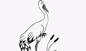 Tiểu phẩm: Chuyện cò