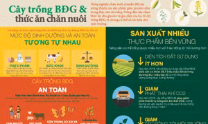 Thêm 10 sự kiện biến đổi gen sử dụng làm thực phẩm và thức ăn chăn nuôi được EU cấp phép