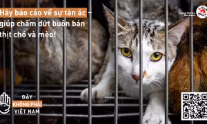 Trên 150 báo cáo về hoạt động buôn bán thịt chó, mèo được gửi tới FOUR PAWS 