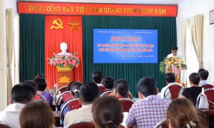 Truyền dạy hát Xoan cho giáo viên âm nhạc khối Tiểu học