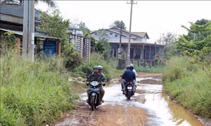 Đắk Nông ưu tiên nguồn lực đầu tư đường giao thông ở vùng sâu, vùng xa