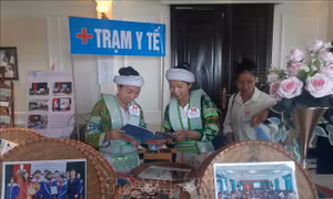 Nhiều hoạt động hỗ trợ phụ nữ yếu thế