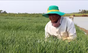 Phát triển kinh tế, nâng cao đời sống đồng bào dân tộc thiểu số