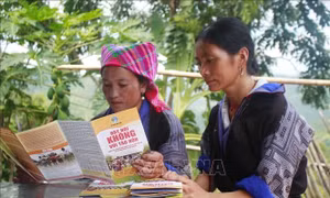 Vận động ngăn chặn tình trạng tảo hôn trong vùng đồng bào dân tộc thiểu số