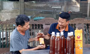 Tuyên Quang: Phát triển kinh tế - xã hội, giảm nghèo ở  vùng quê cách mạng 