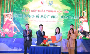 Nhãn hàng OMO kí kết hoàn thành mục tiêu trồng 1 triệu cây 'Vì một Việt Nam Xanh'