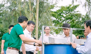 Đồng hành cùng nông dân sản xuất an toàn