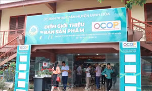 Khai thác tiềm năng, phát triển kinh tế - xã hội ở huyện miền núi Định Hóa